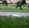 �� ����� ������ ��� �������� �������� ���������� ���������� �������������