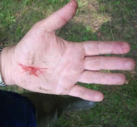 ���� ��� ������� ������� ������� ������� ��������� ����������� �������� ������