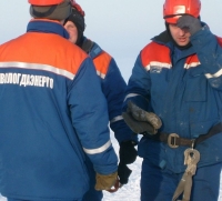  2010     -      38,1 . 