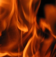 ����� ��������� 