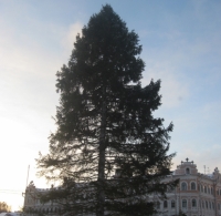 ������� ���������� ���� ���������� � ������ �������