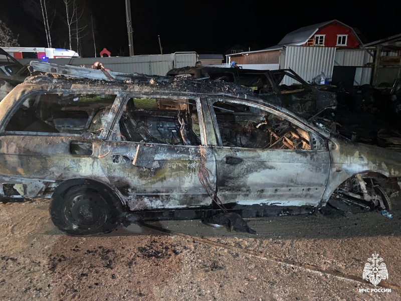 Пенсионер совершил геройский поступок накануне Дня рождения - Вологда и ...