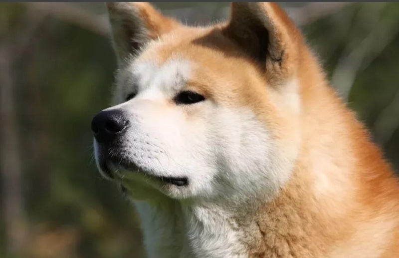 Дети и подростки прошли Курс молодого бойца на учебной базе ВИПЭ ФСИН ...