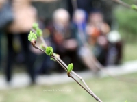 � ����� ������ � ����������� ������� ��������� ���������� 